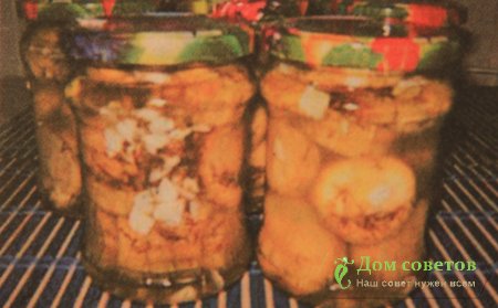 Кабачки "Грузди".