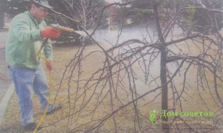 Работы месяца: октябрь